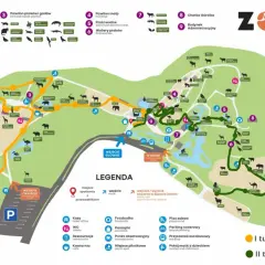 Mapa zoo w Gdańsku. Z dworca PKP dojedziesz tu autobusem, przystanek jest zaznaczony. Zoo oferuje pawilony z lwami, żyrafami, ptakami i małpami.