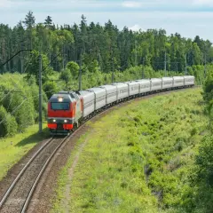 Pociąg TLK z czerwoną lokomotywą jedzie po torach wśród zielonych drzew i krzewów.