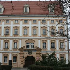 Najlepsze atrakcje w Jelcz-Laskowice, które musisz zobaczyć