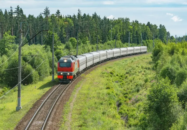 Pociąg TLK z czerwoną lokomotywą jedzie po torach wśród zielonych drzew i krzewów.