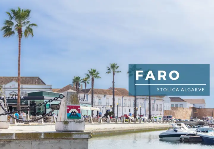 Co zobaczyć w Faro: malowniczy port z palmami, łodziami i kawiarniami. Warto odwiedzić to urokliwe miejsce w stolicy Algarve.
