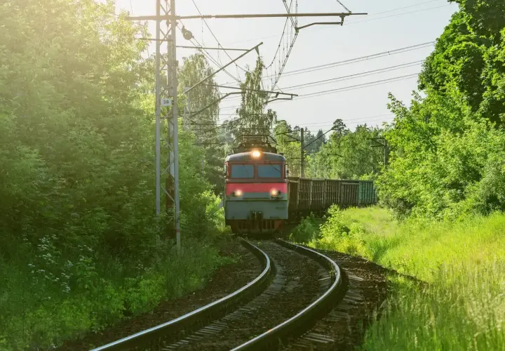 Pociąg towarowy jedzie przez zielony las. Zastanawiasz się, ile zarabia początkujący maszynista?