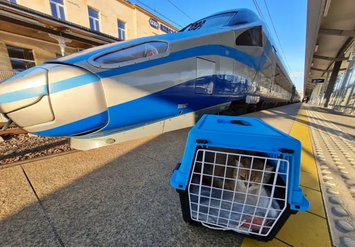 Jak wygląda pociąg Pendolino? Zaskakujące detale i komfort podróży