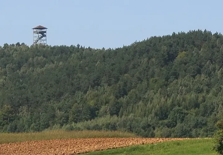 Iwkowa atrakcje – odkryj najciekawsze miejsca, które musisz zobaczyć