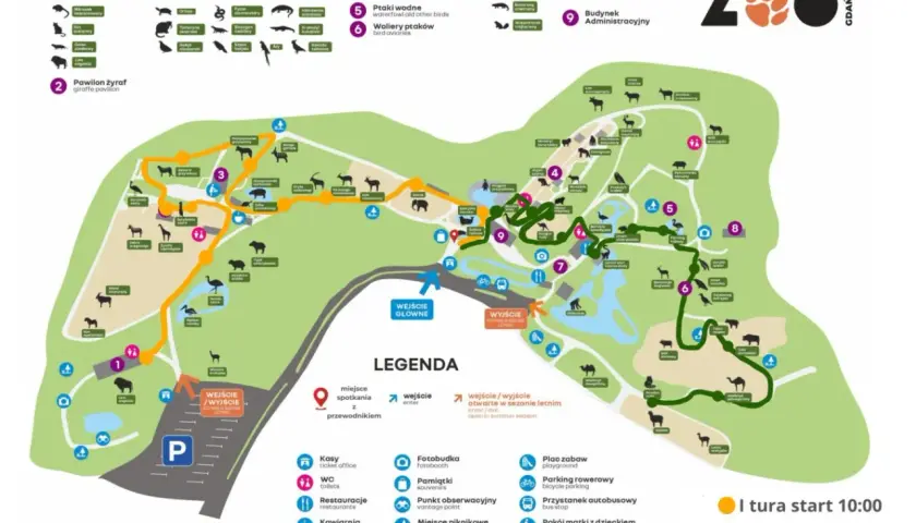 Mapa zoo w Gdańsku. Z dworca PKP dojedziesz tu autobusem, przystanek jest zaznaczony. Zoo oferuje pawilony z lwami, żyrafami, ptakami i małpami.
