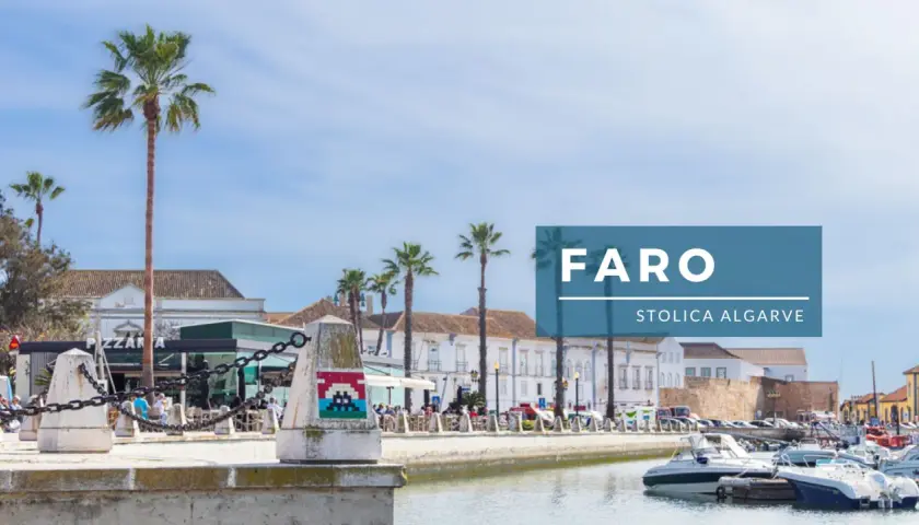 Co zobaczyć w Faro: malowniczy port z palmami, łodziami i kawiarniami. Warto odwiedzić to urokliwe miejsce w stolicy Algarve.