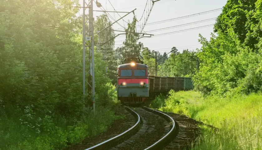 Pociąg towarowy jedzie przez zielony las. Zastanawiasz się, ile zarabia początkujący maszynista?