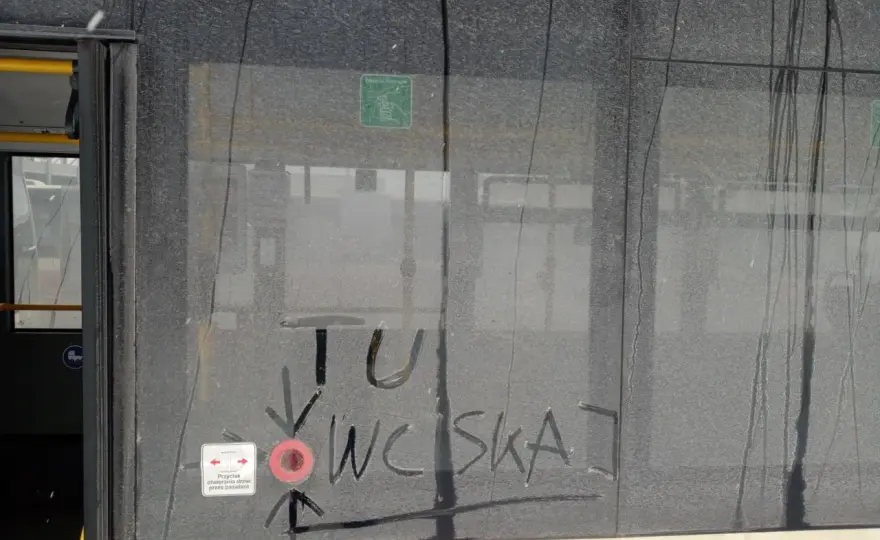 Jak otworzyć drzwi w polskim pociągu? Instrukcja krok po kroku