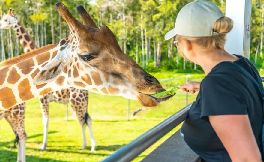 Jak dojechać do ZOO w Warszawie z Dworca Centralnego? Przewodnik