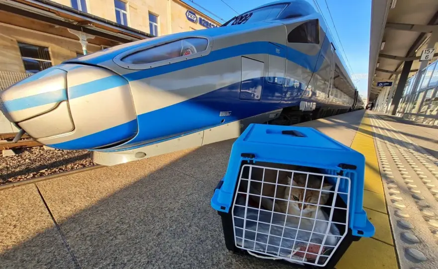 Jak wygląda pociąg Pendolino? Zaskakujące detale i komfort podróży
