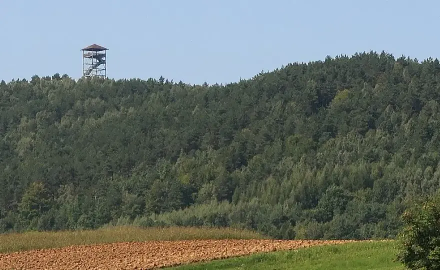 Iwkowa atrakcje – odkryj najciekawsze miejsca, które musisz zobaczyć