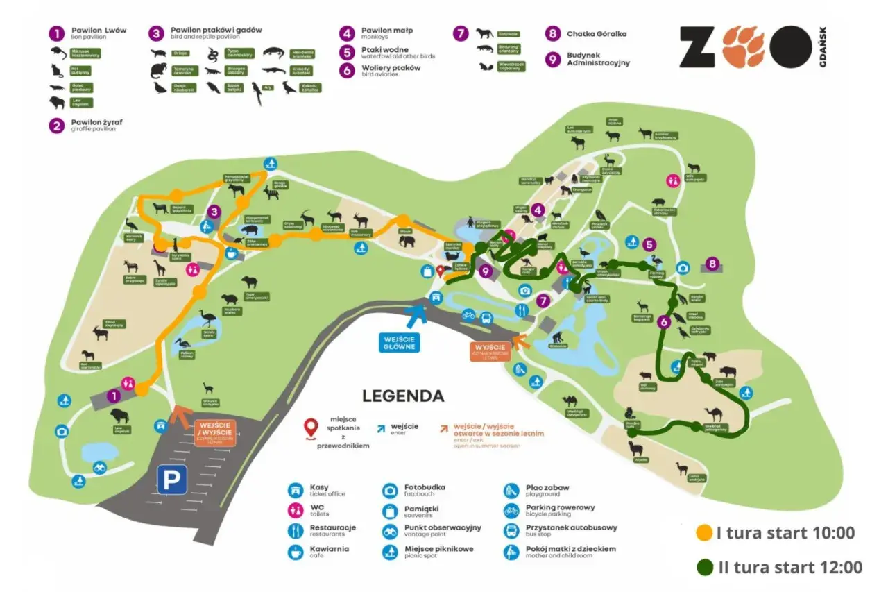 Mapa zoo w Gdańsku. Z dworca PKP dojedziesz tu autobusem, przystanek jest zaznaczony. Zoo oferuje pawilony z lwami, żyrafami, ptakami i małpami.