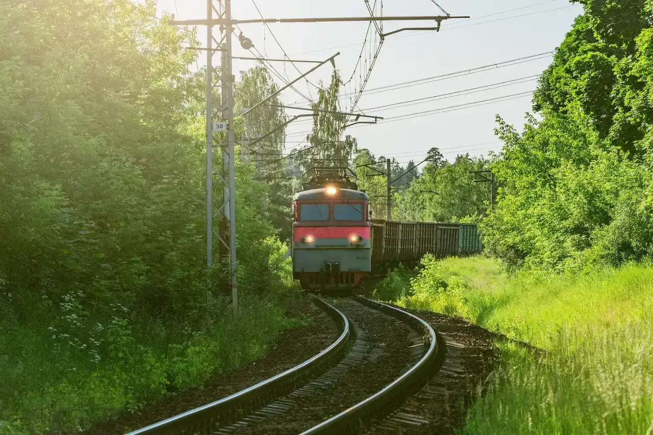 Pociąg towarowy jedzie przez zielony las. Zastanawiasz się, ile zarabia początkujący maszynista?