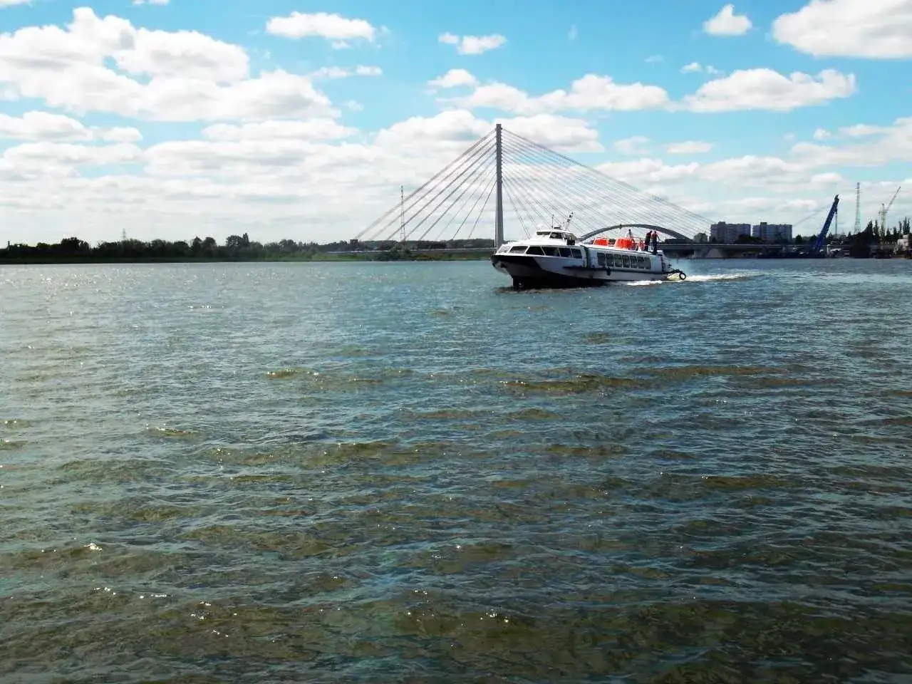 Wodolot Gdynia Hel pędzi po falach pod mostem.